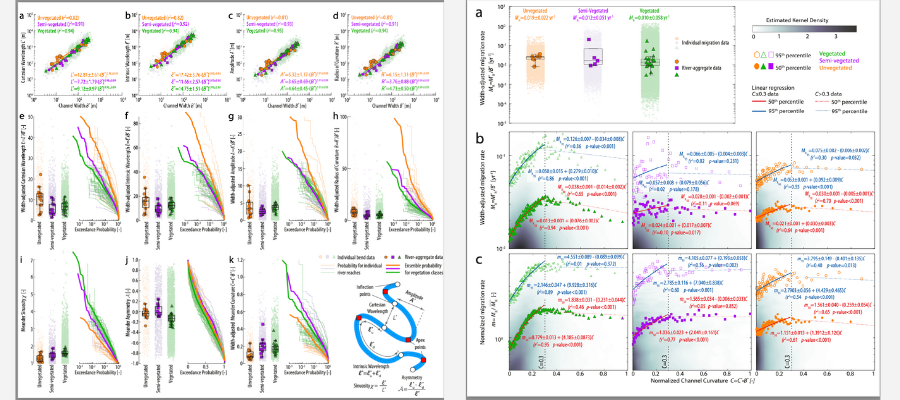 How Vegetation Influences The Evolution Of Meandering Rivers ...